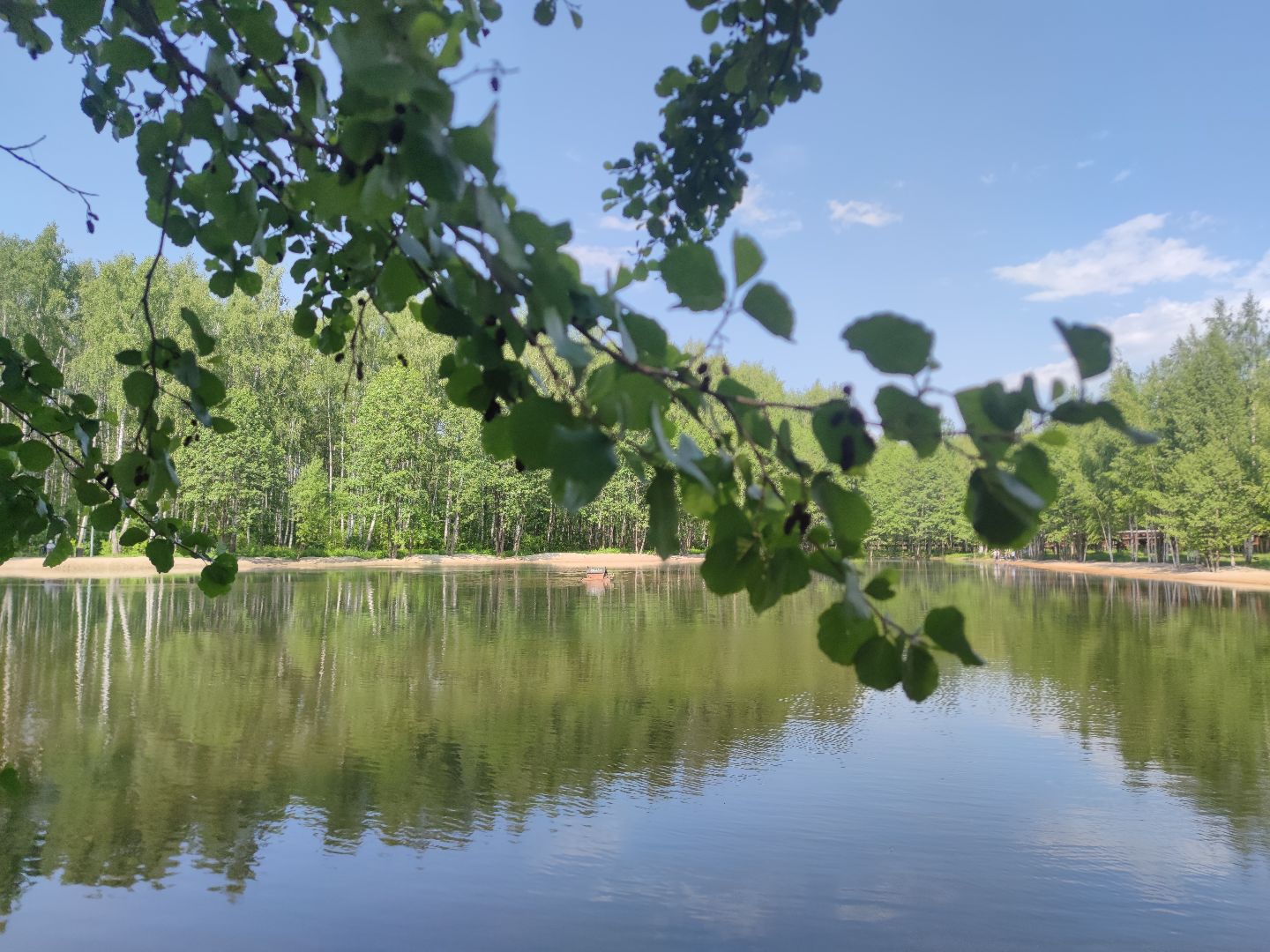 Губернаторская программа, зарыбление пруда, экологическая акция, Дубна