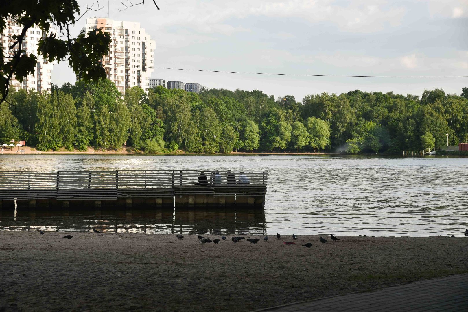 Химки, пляж, загар