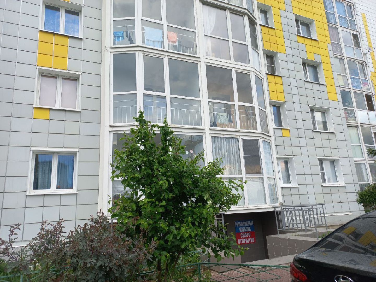 Солнечногорск, визитглавы, голубое, дороги, жители