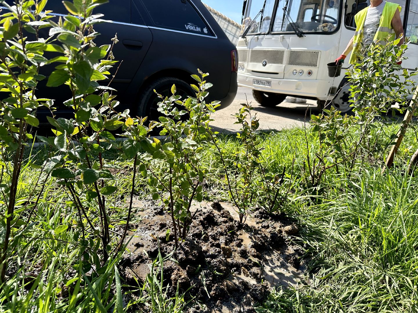 Клин, благоустройство, перемены, общественные пространства
