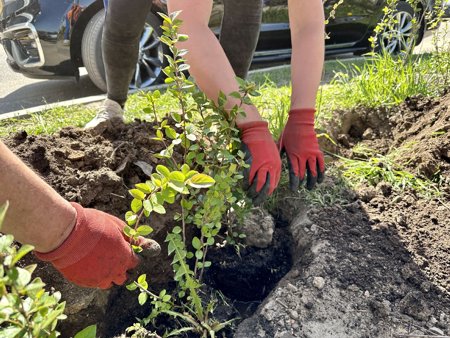 Клин, благоустройство, перемены, общественные пространства