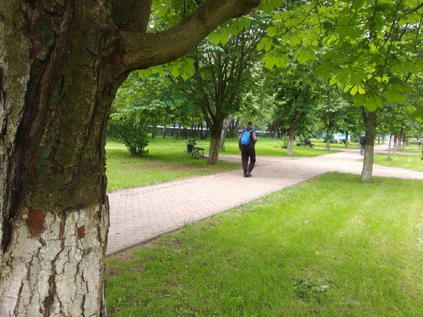 Дмитров, Аллея Славы, Мин благоустройства МО