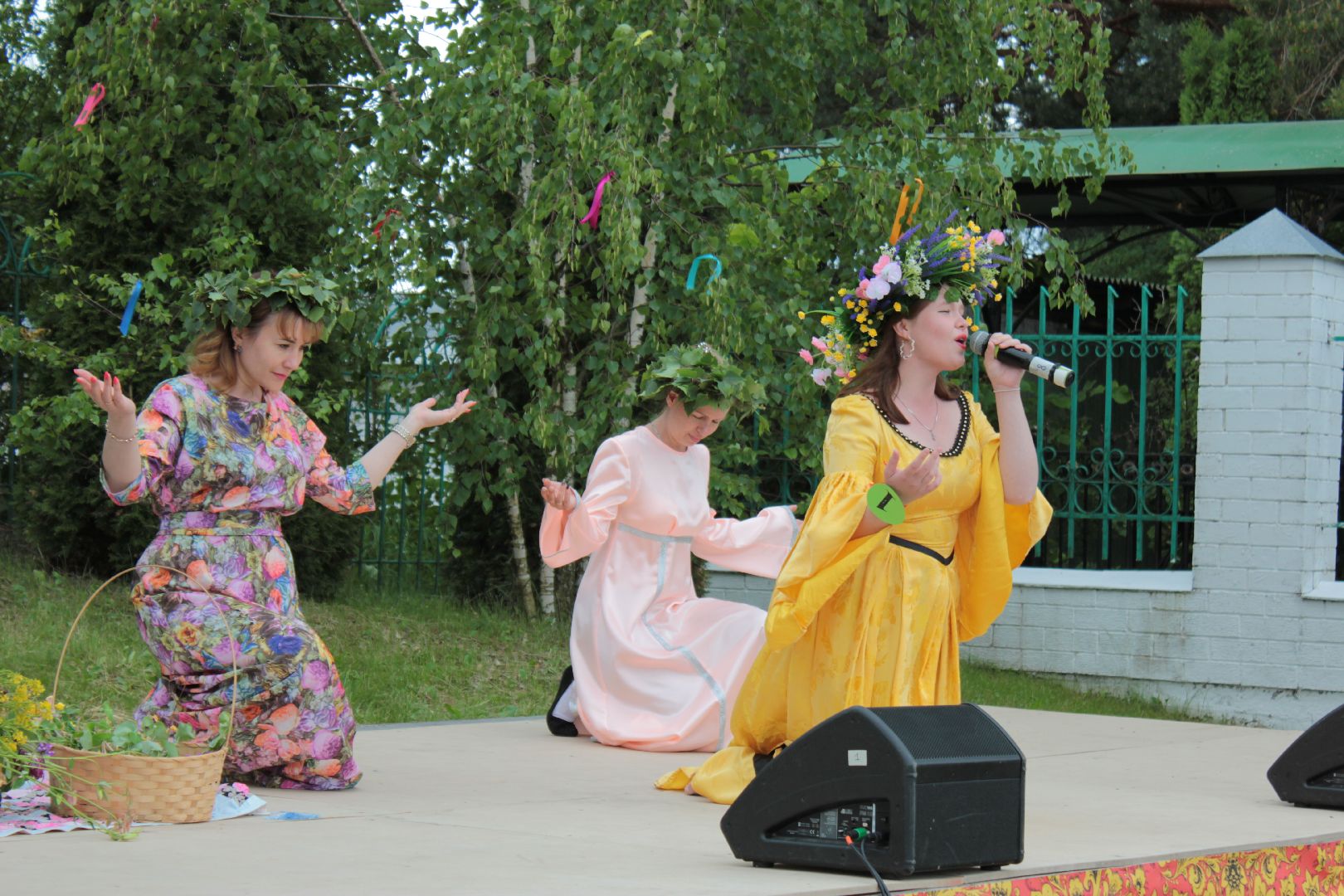 Ступино, день села, Лужники