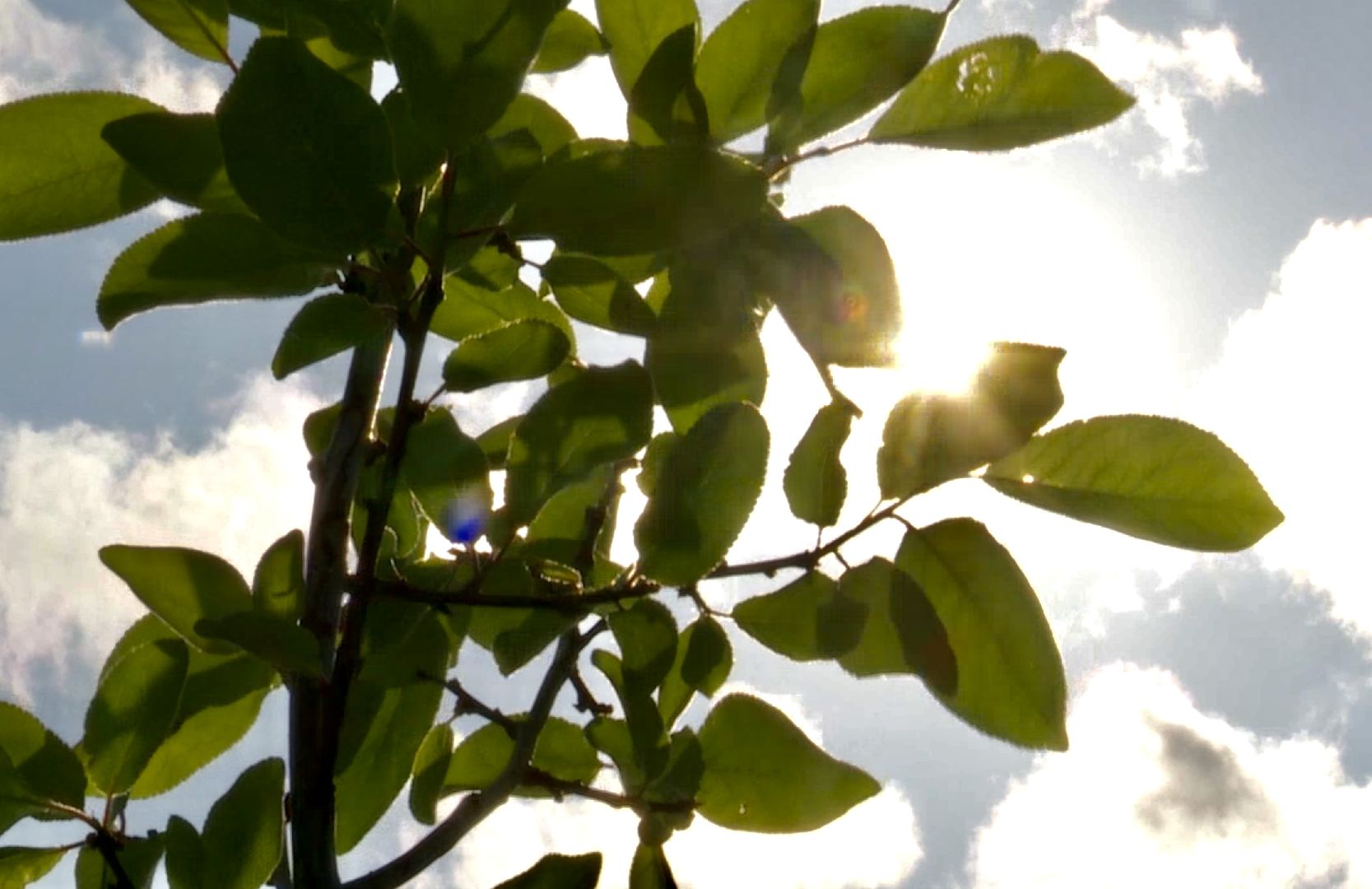 Клин, общество, предприниматели, благоустройство