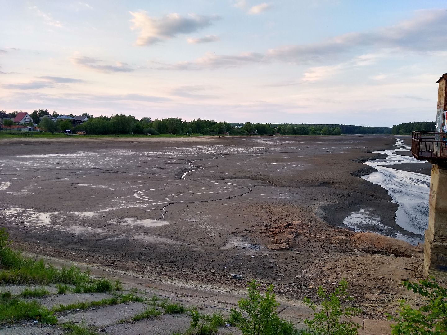 Раменское, экология, пруд в Поповке