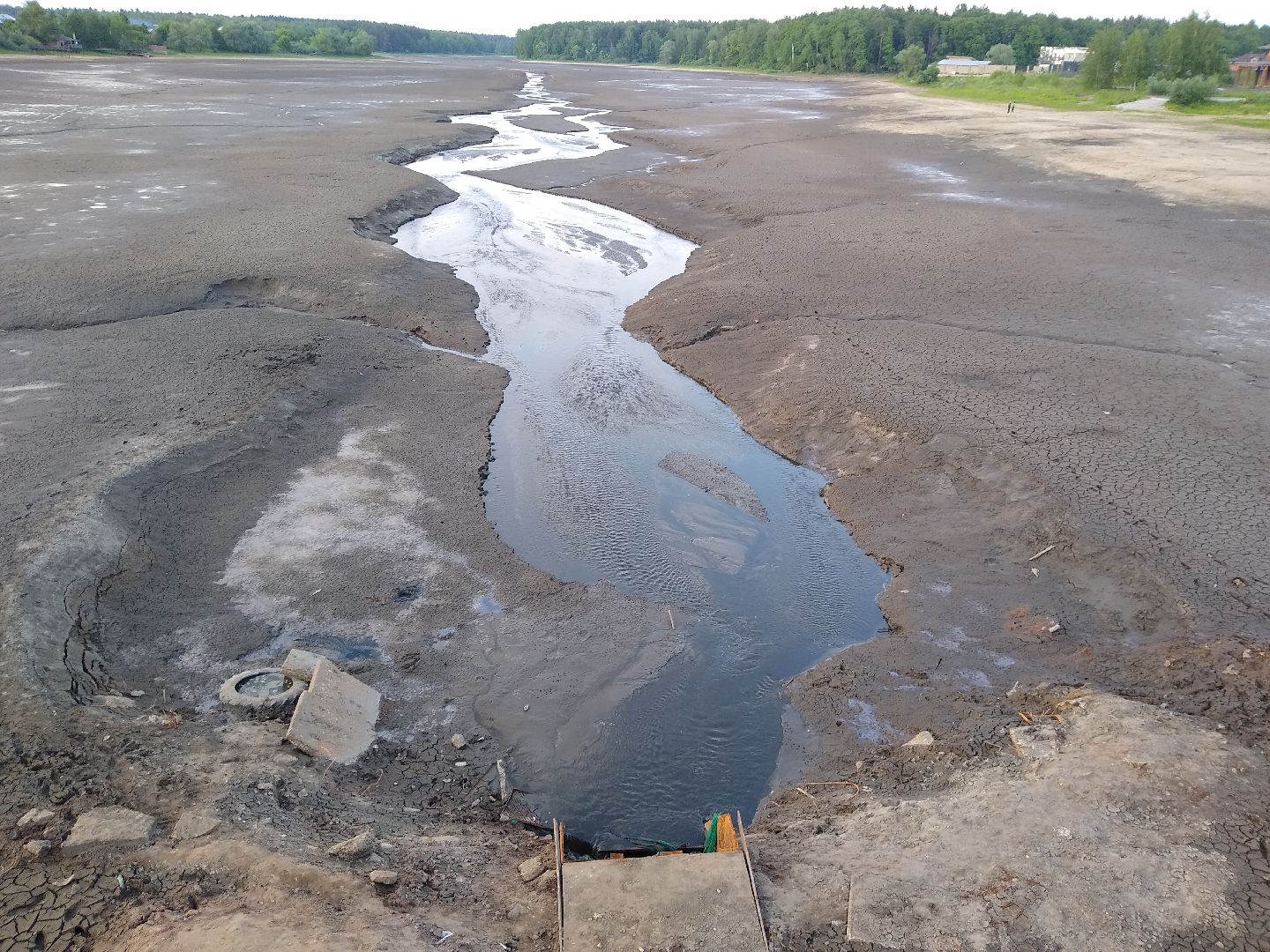 Раменское, экология, пруд в Поповке