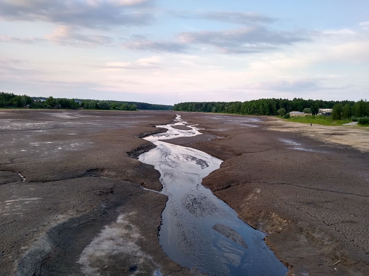 Раменское, экология, пруд в Поповке