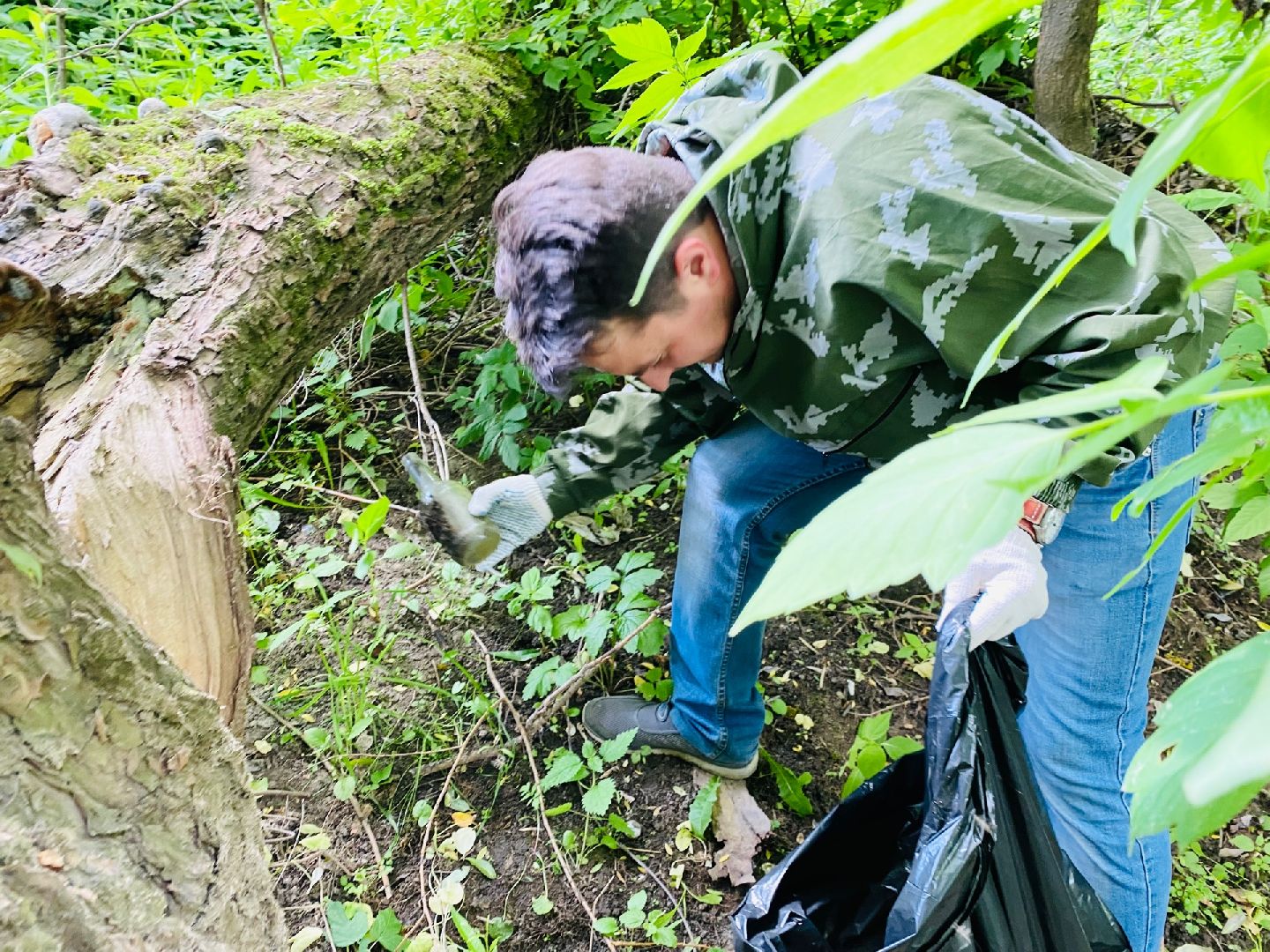 Домодедово, экология, уборка территории, берег реки