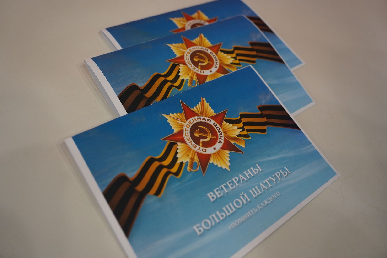 #Мывместе#Шатура#Рошаль#международная премия#ветераны#помнитькаждого#