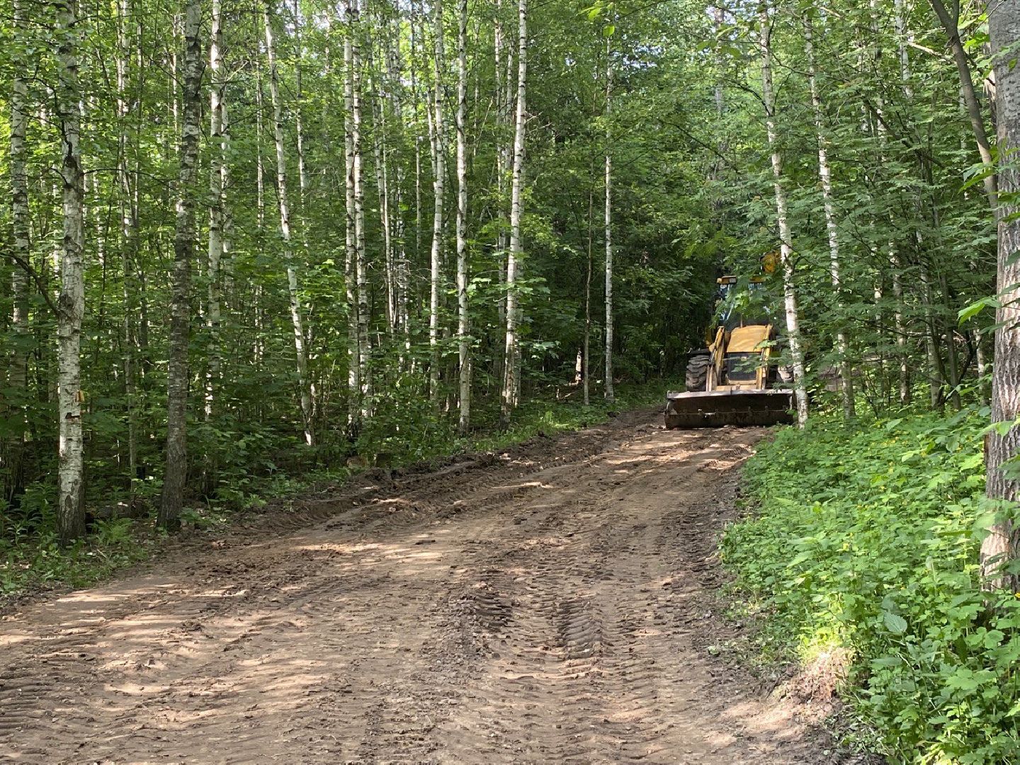 Химки, лесопарк, благоустройство, перемены