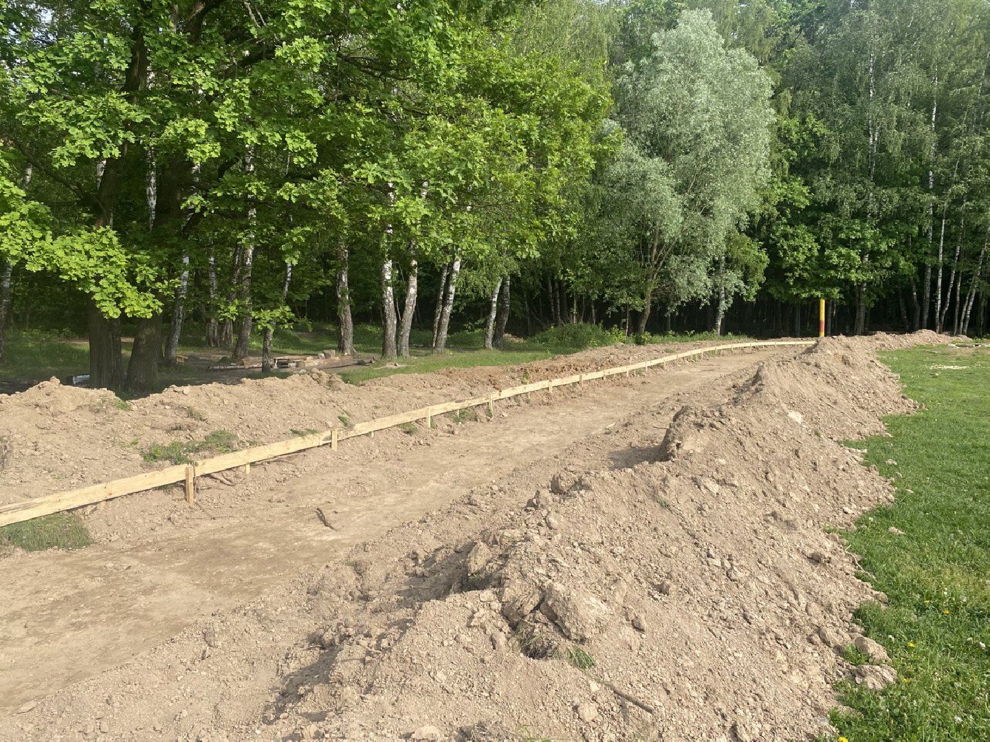 Химки, лесопарк, благоустройство, перемены