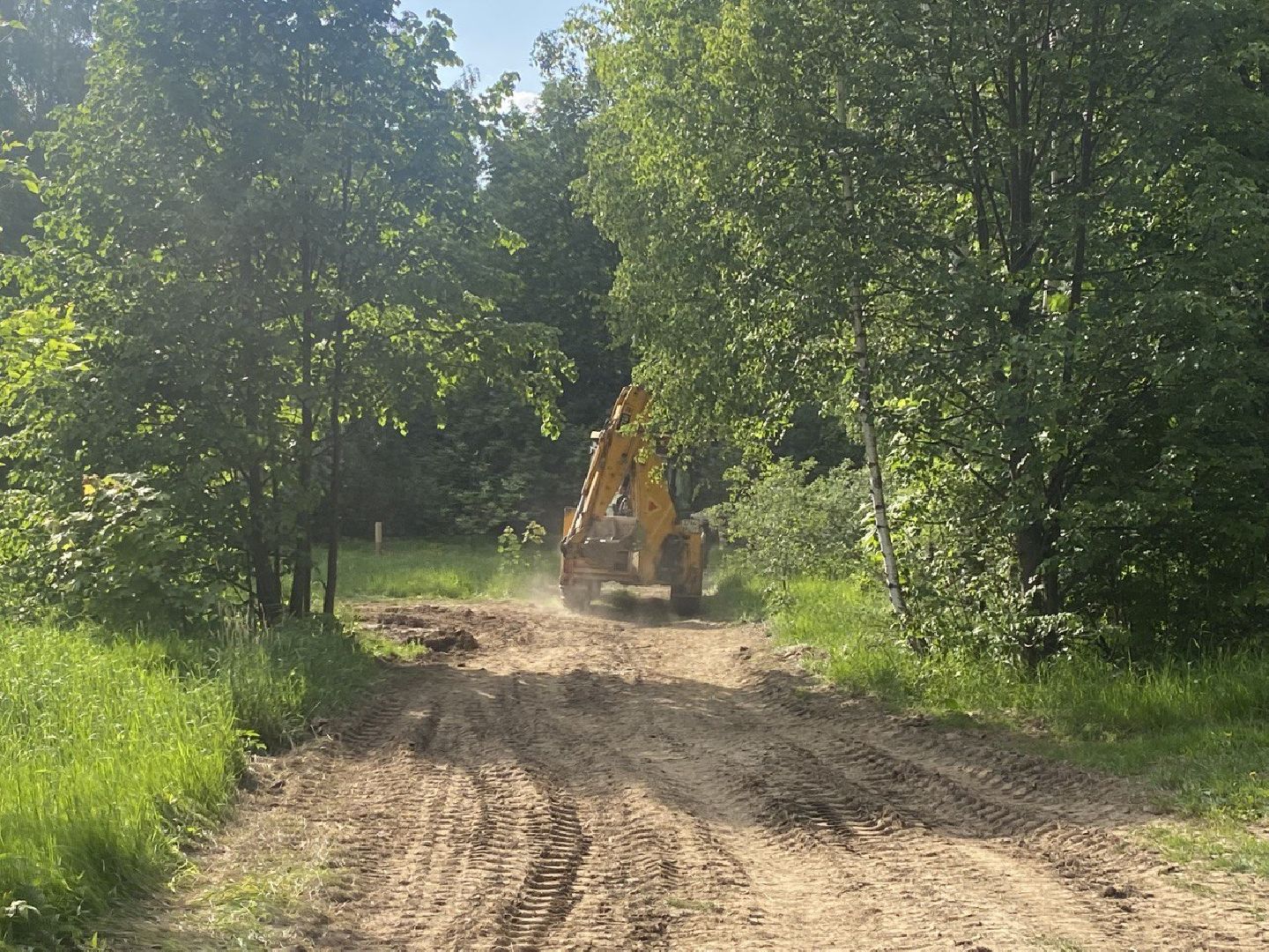 Химки, лесопарк, благоустройство, перемены