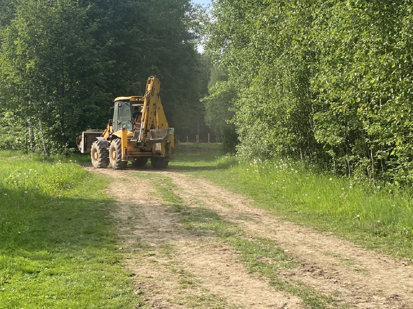 Химки, лесопарк, благоустройство, перемены