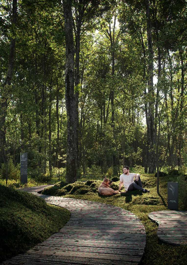 Химки, лесопарк, благоустройство, перемены