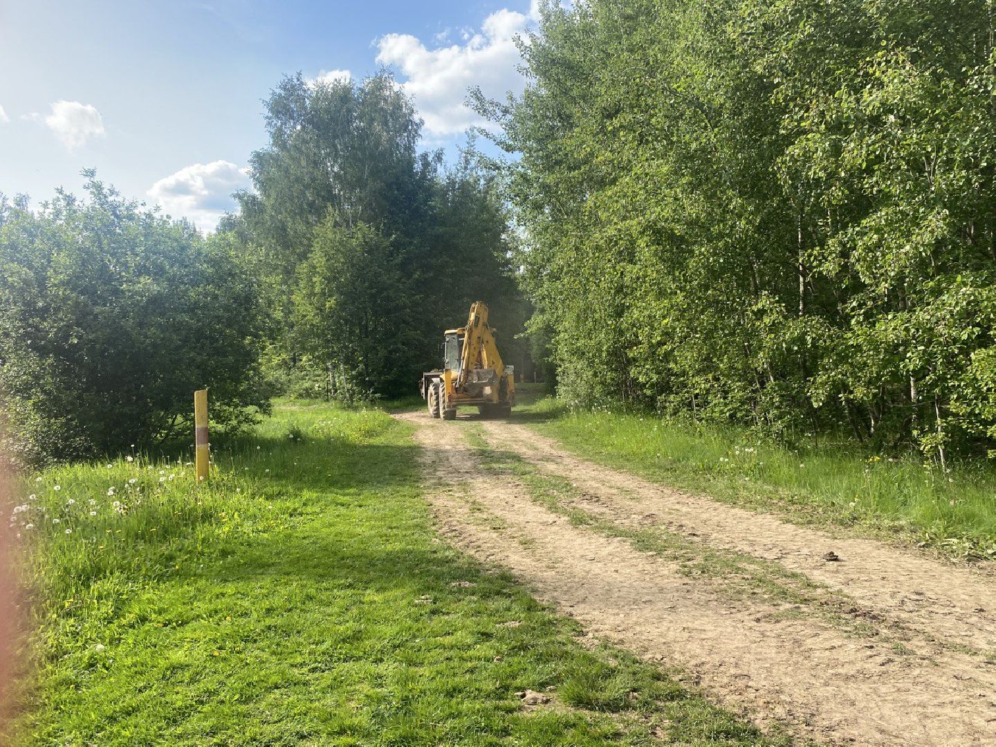 Химки, лесопарк, благоустройство, перемены