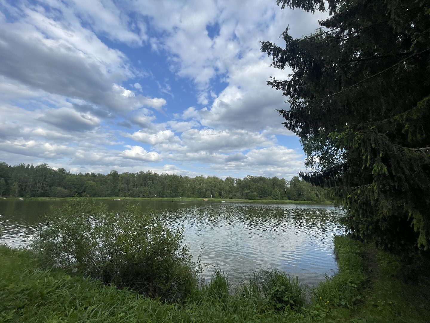 Благоустройство, экология, пруд, очистка, Одинцово, Кубинка, старый городок,