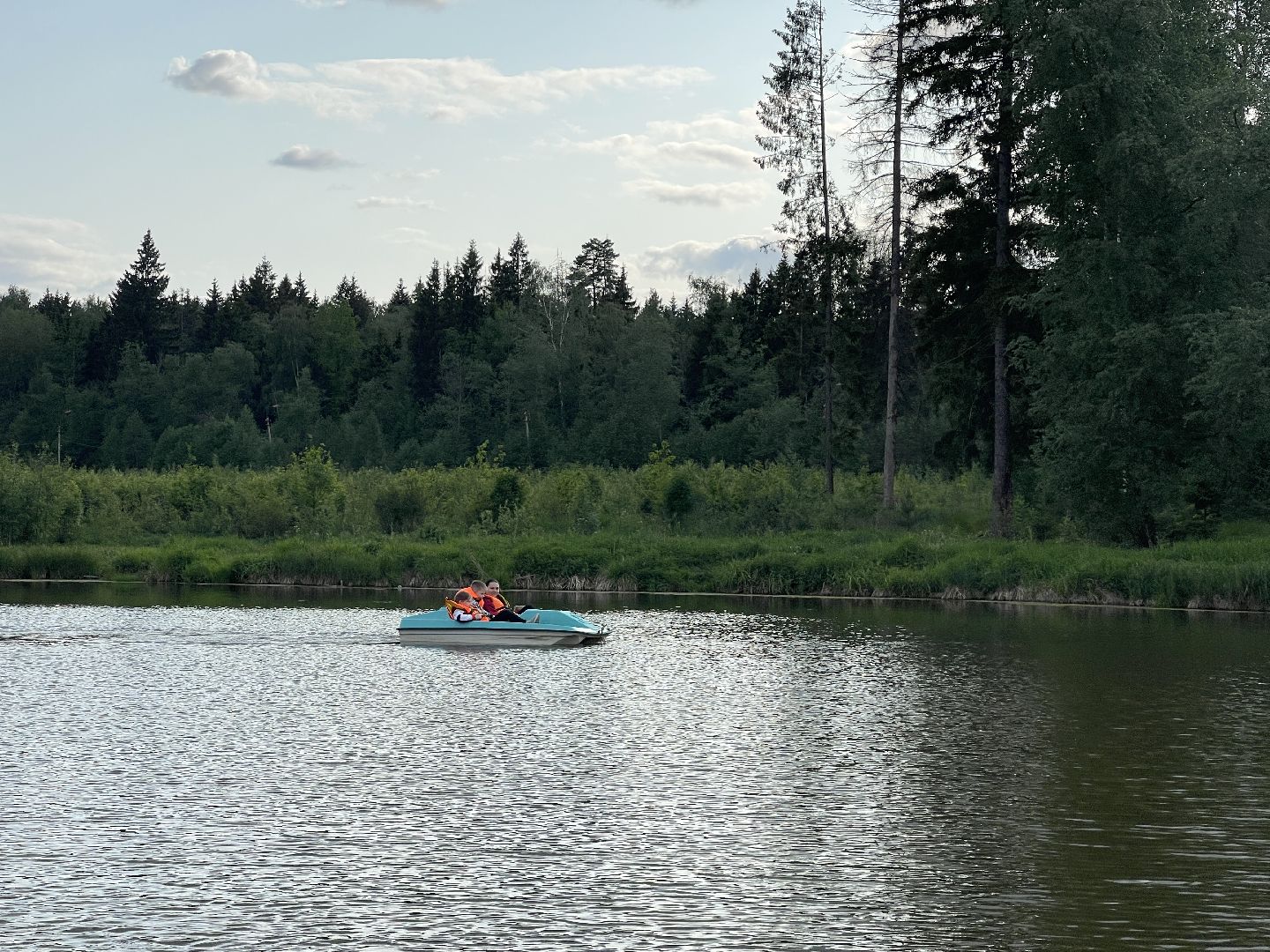 Благоустройство, экология, пруд, очистка, Одинцово, Кубинка, старый городок,
