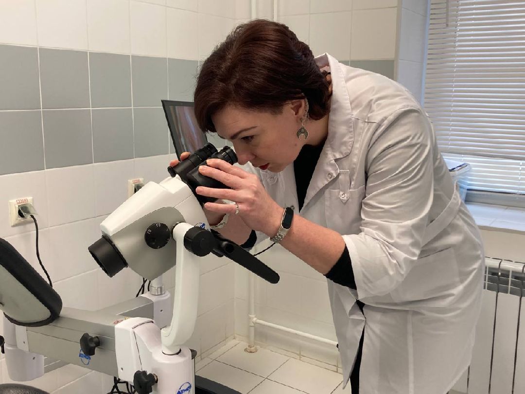 Клин, города