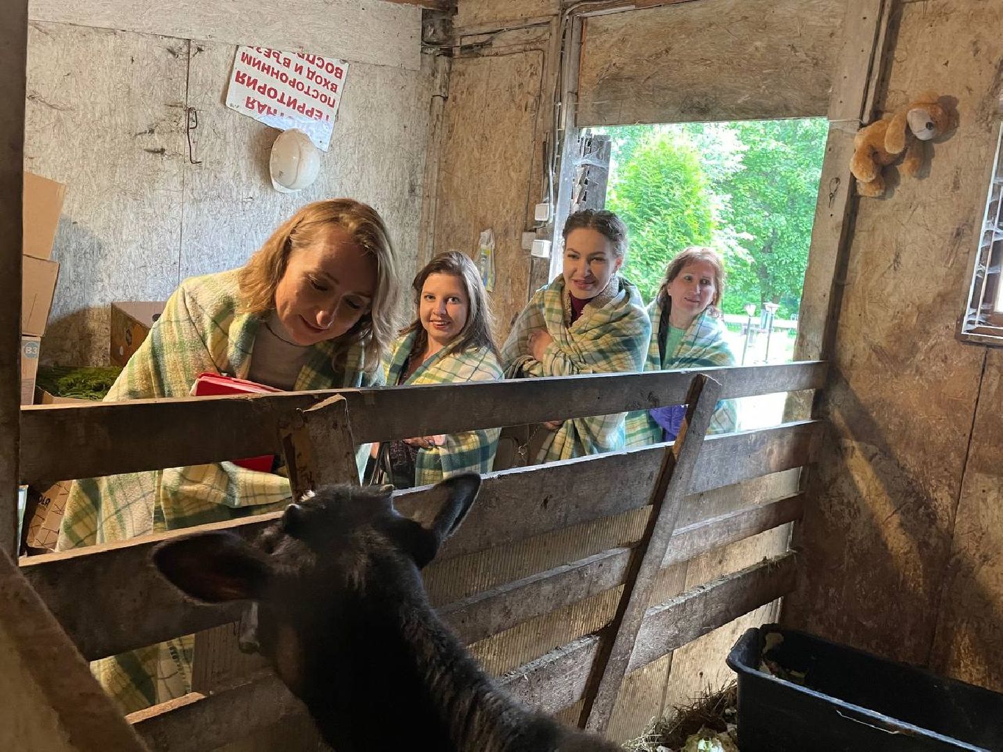 доброе дело, инновации,