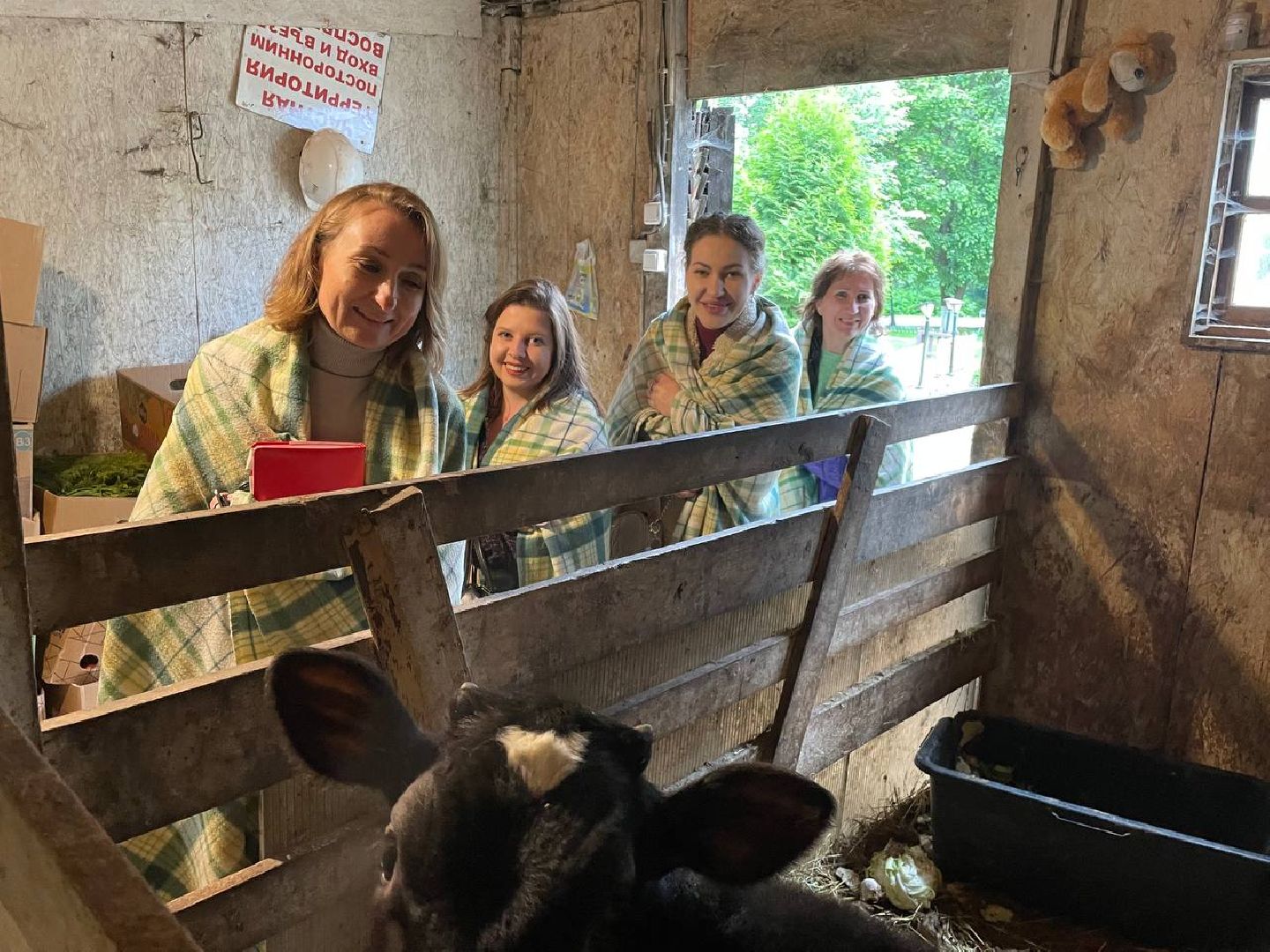 доброе дело, инновации,