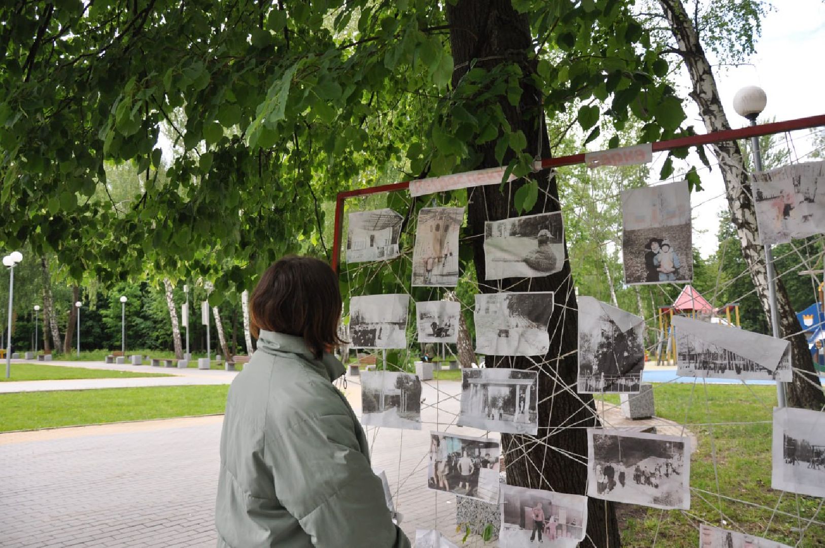 Кашира, парк, фотограф, волонтеры