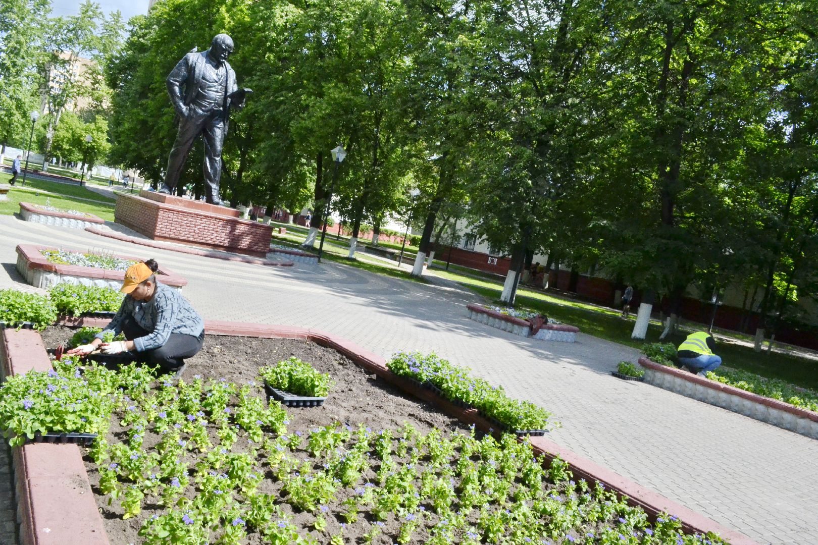 Балашиха, Подмосковье, благоустройство, цветы, скверы