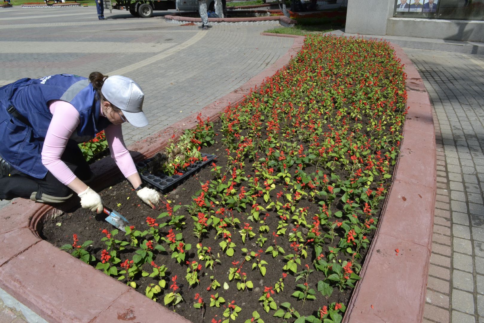 Балашиха, Подмосковье, благоустройство, цветы, скверы