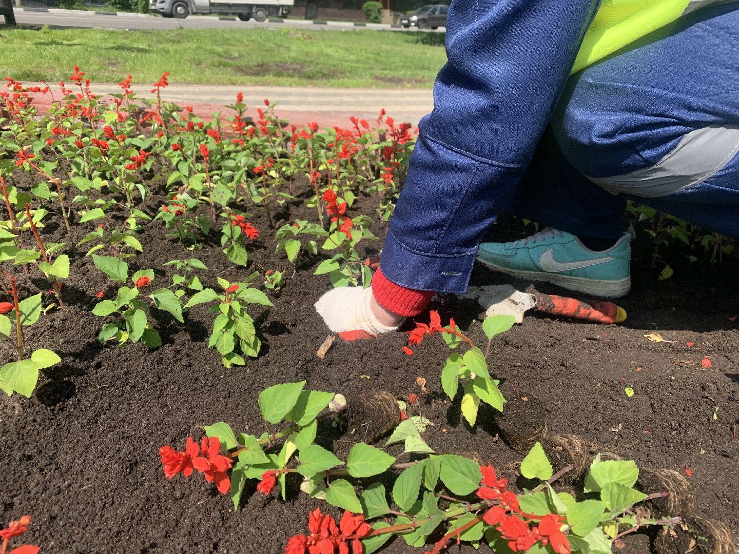 Балашиха, Подмосковье, благоустройство, цветы, скверы