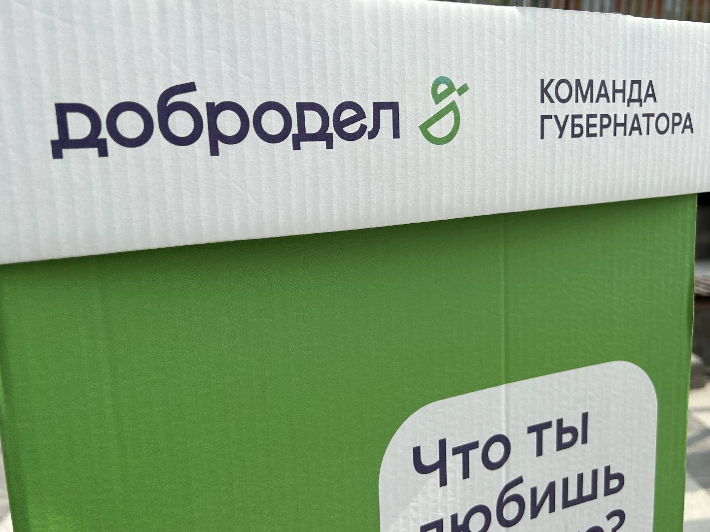 Благоустройство, голосование, Фрязино