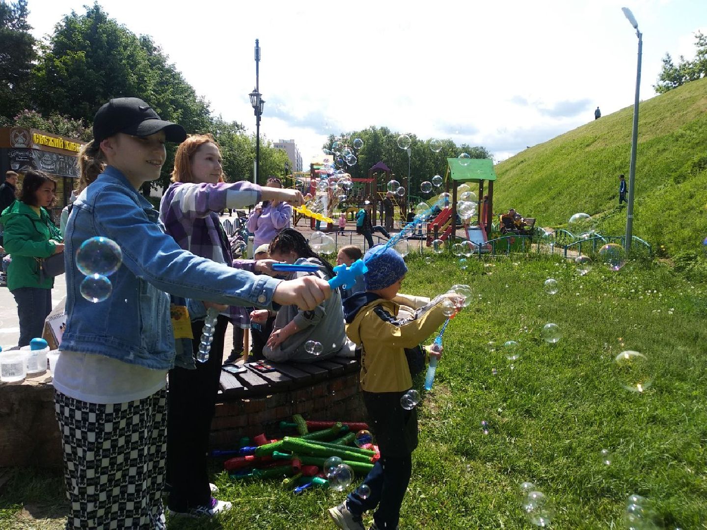 Дмитров, Музей лягушки, Фестиваль лягушки