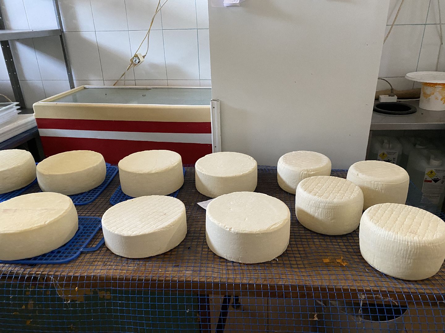 Чехов, спецоперация, помощь, фермер, продукты, СВО