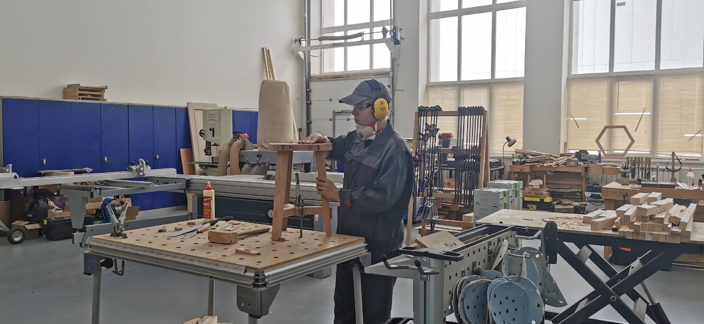 абилимпикс, образование,