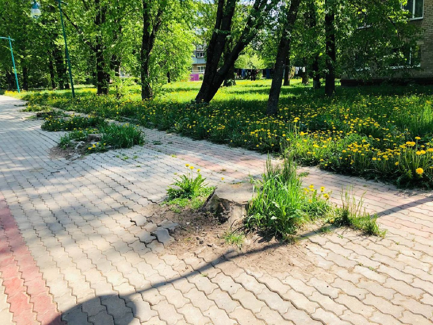 руза, благоустройство, парки, жители, горсреда