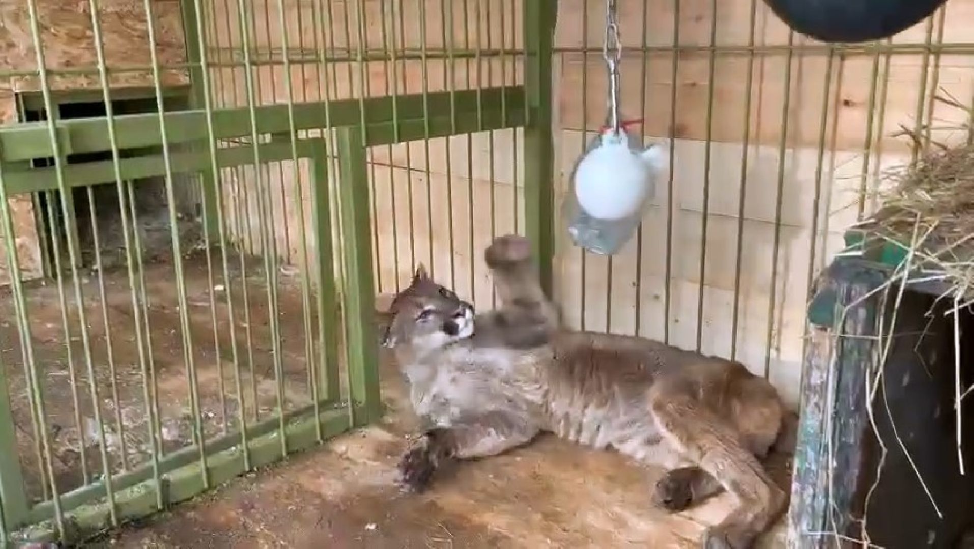 Клин, города