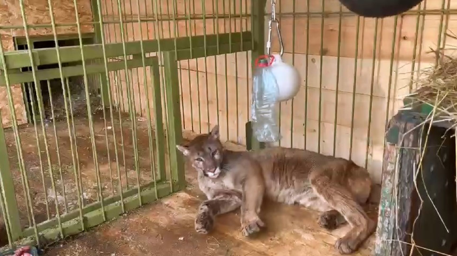 Клин, города