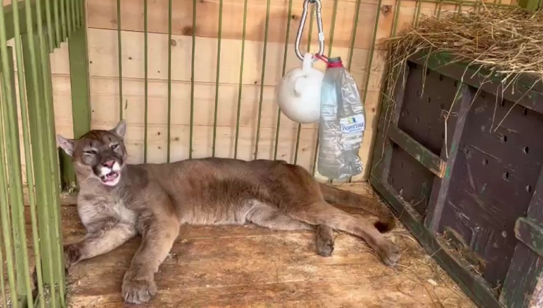 Клин, города