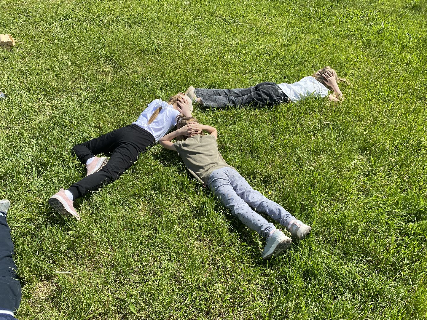 Домодедово, школа, лагерь, метание гранат, военная подготовка