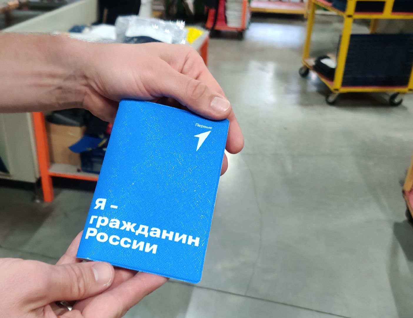 Красноармейск, Пушкинский, экономика, импортозамещение, господдержка