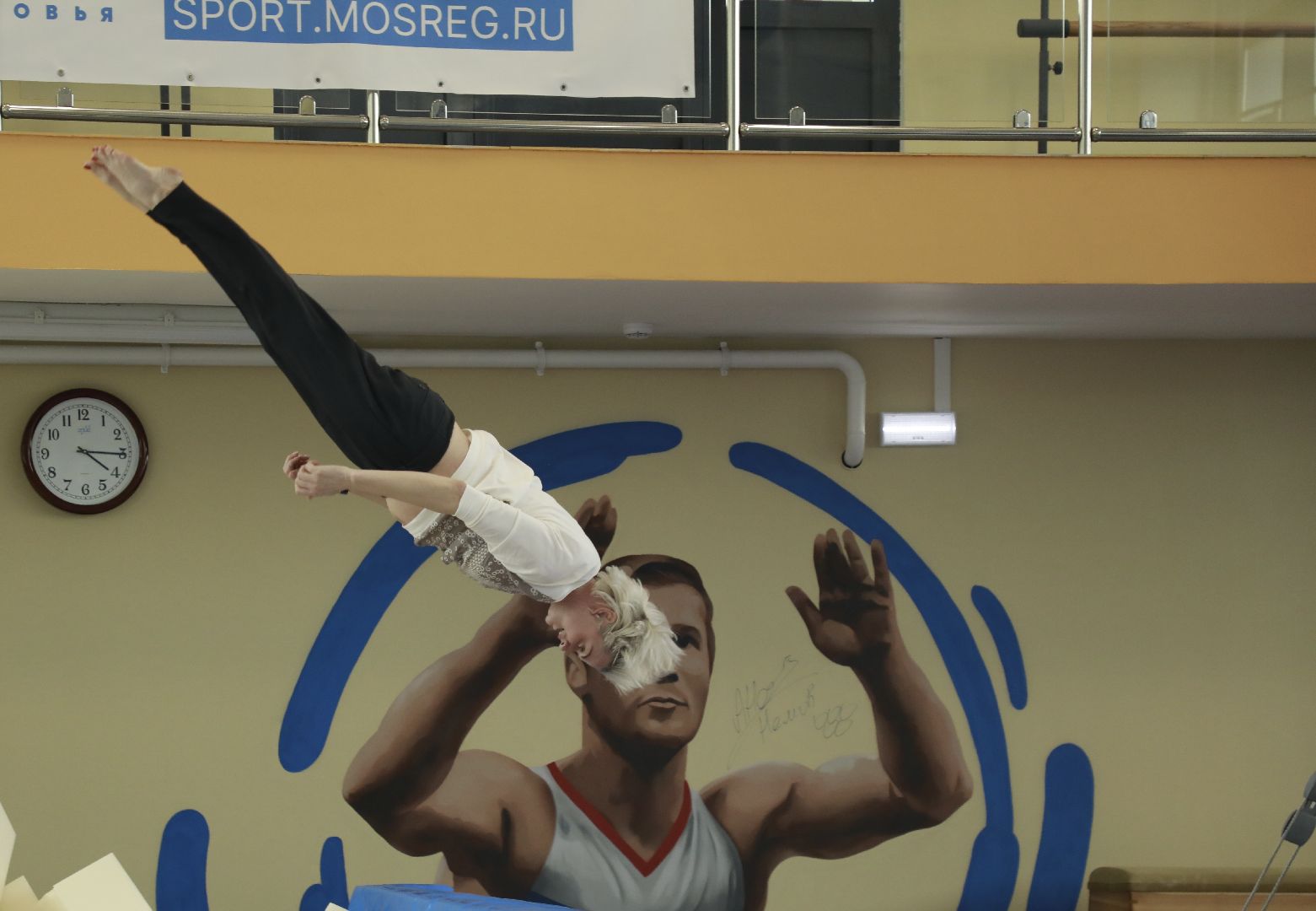 Наро-Фоминск, спортивная гимнастика, Светлана Хоркина, Олег Рожнов, Роман Шамнэ, спорт, спорткомплекс Трудовые резервы