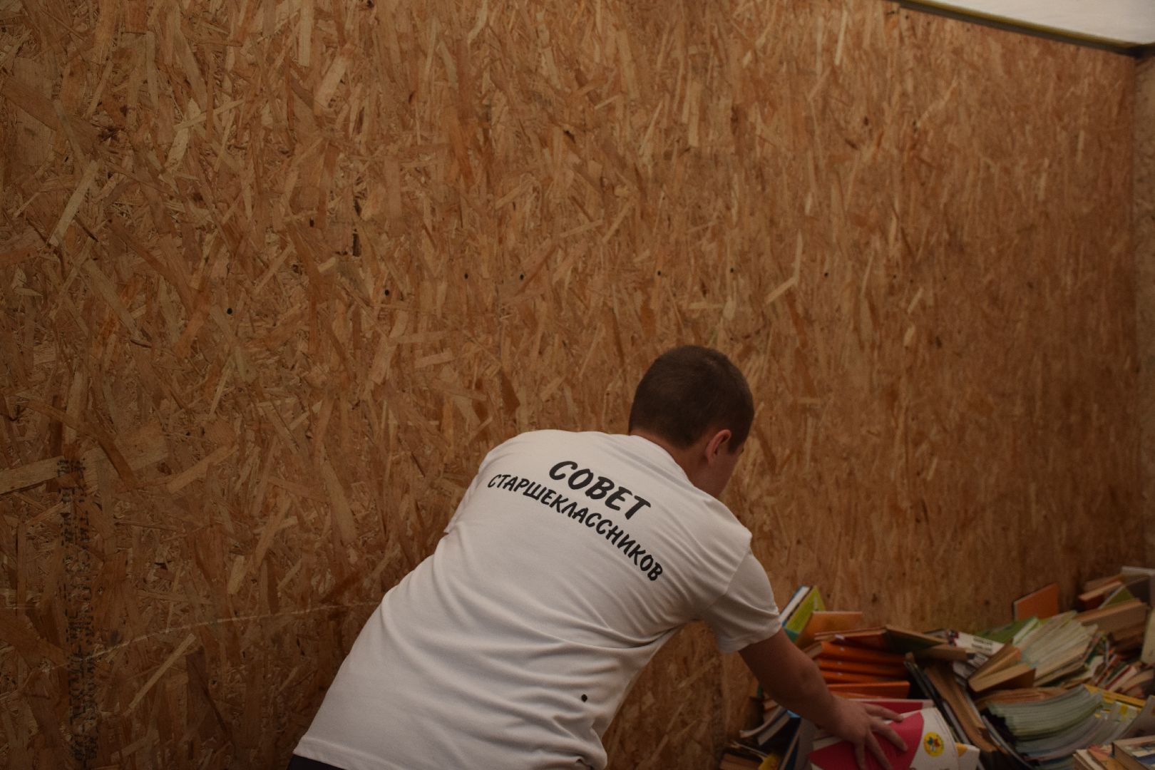 Павловский Посад, городской округ Павловский Посад, животные, помощь, экология