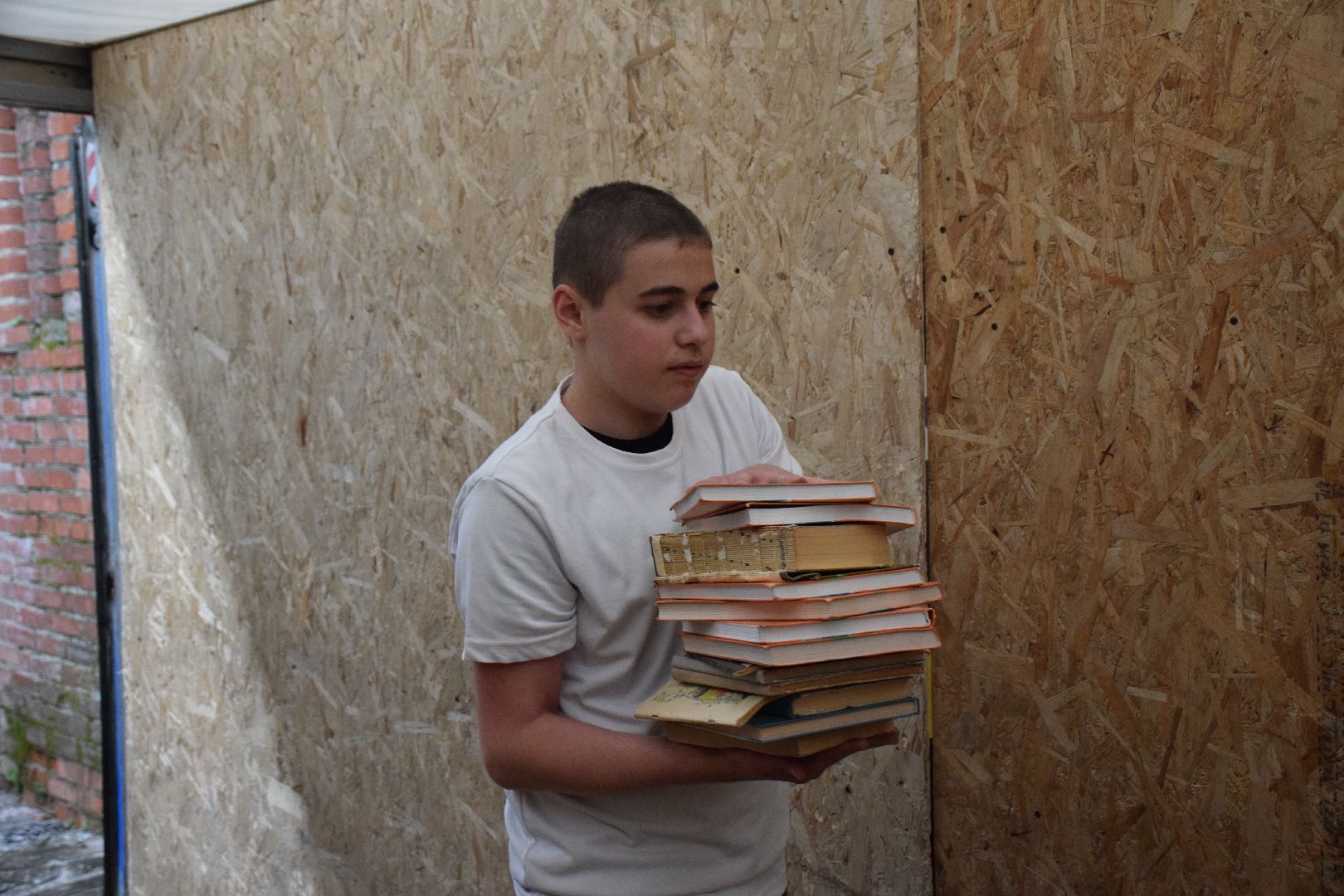 Павловский Посад, городской округ Павловский Посад, животные, помощь, экология