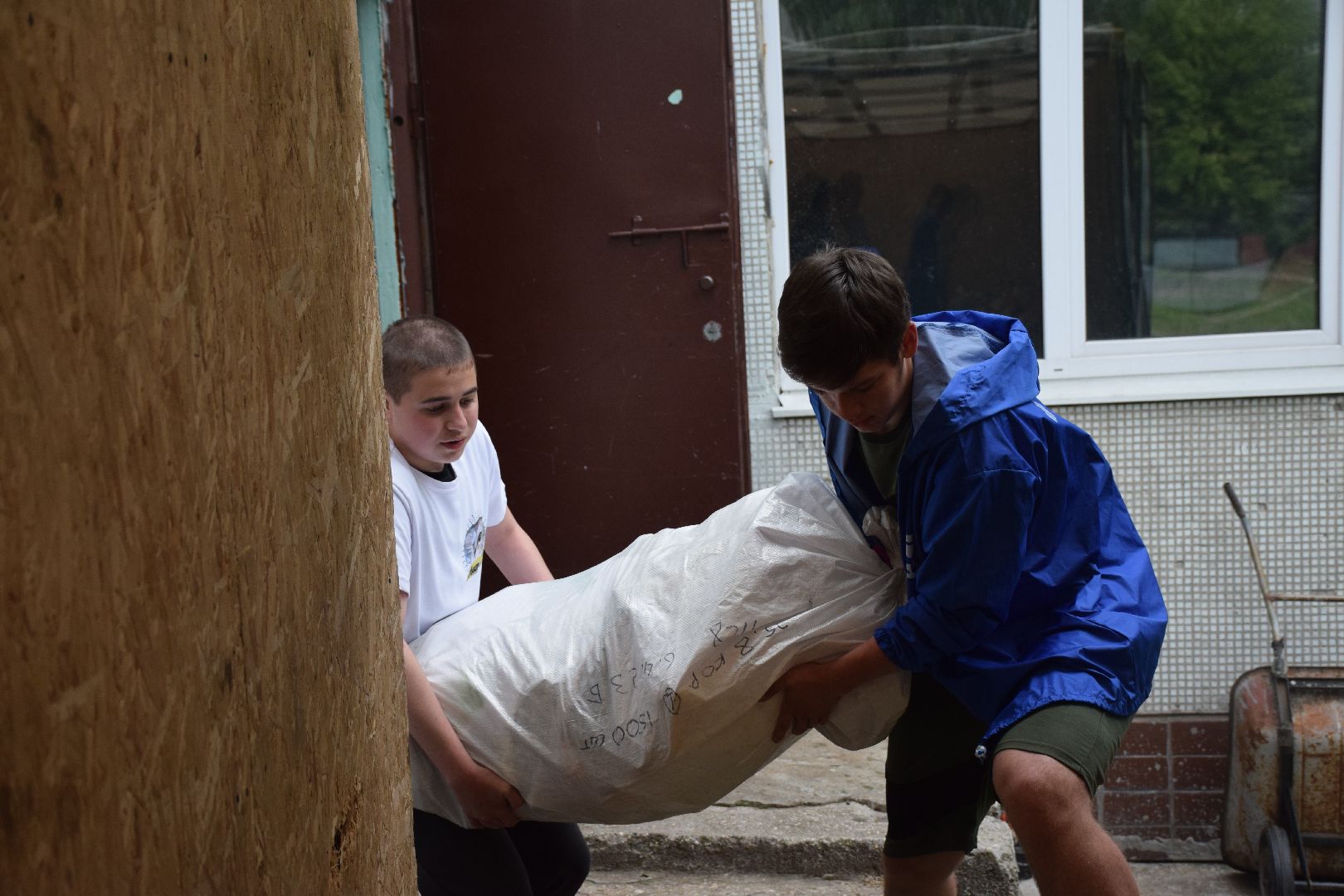 Павловский Посад, городской округ Павловский Посад, животные, помощь, экология