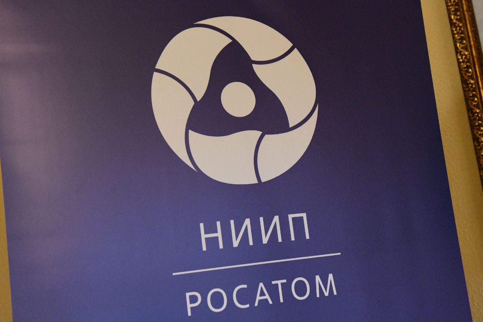 лыткарино, общество, конференция, ниип, наука,