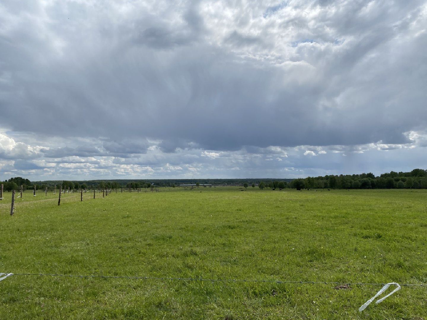 Чехов, экономика, ферма, грант, доильный робот, коровы