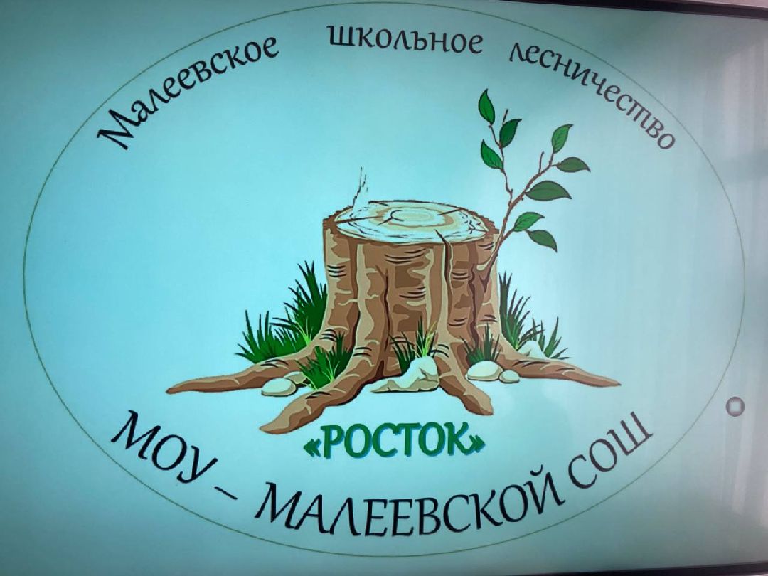 Клин, города