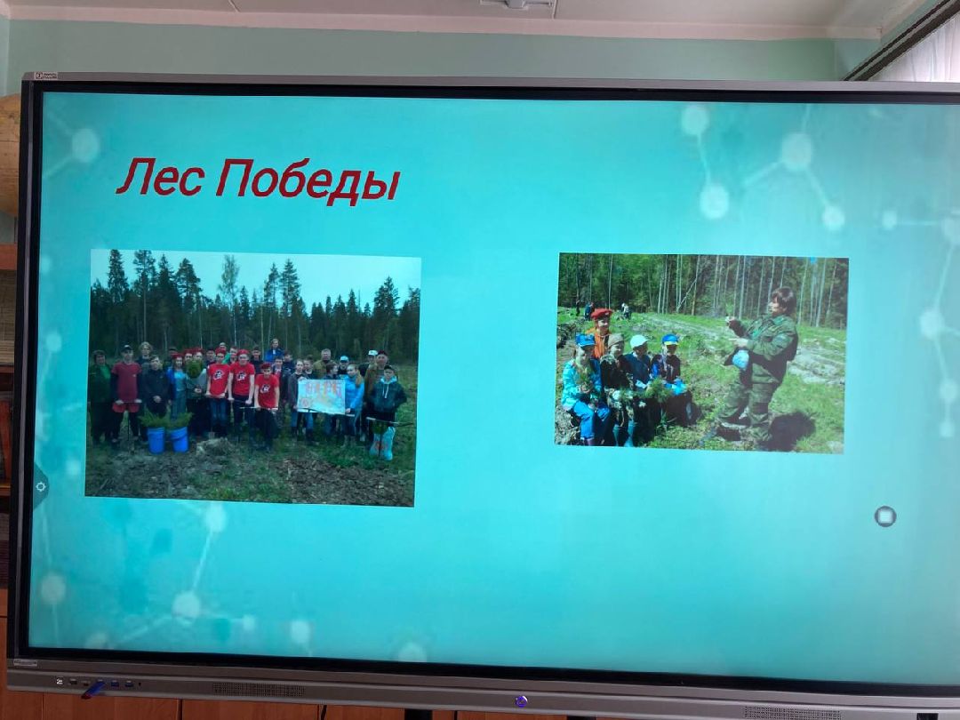 Клин, города