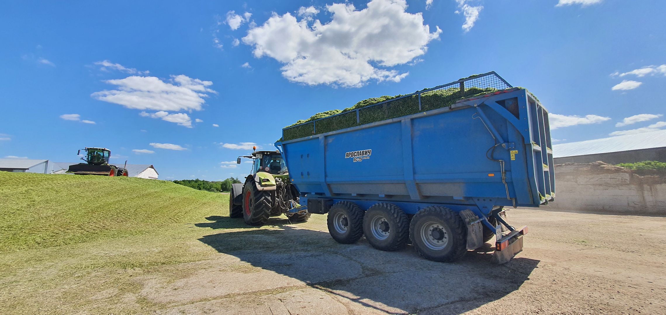 Племзавод Повадино, Домодедово