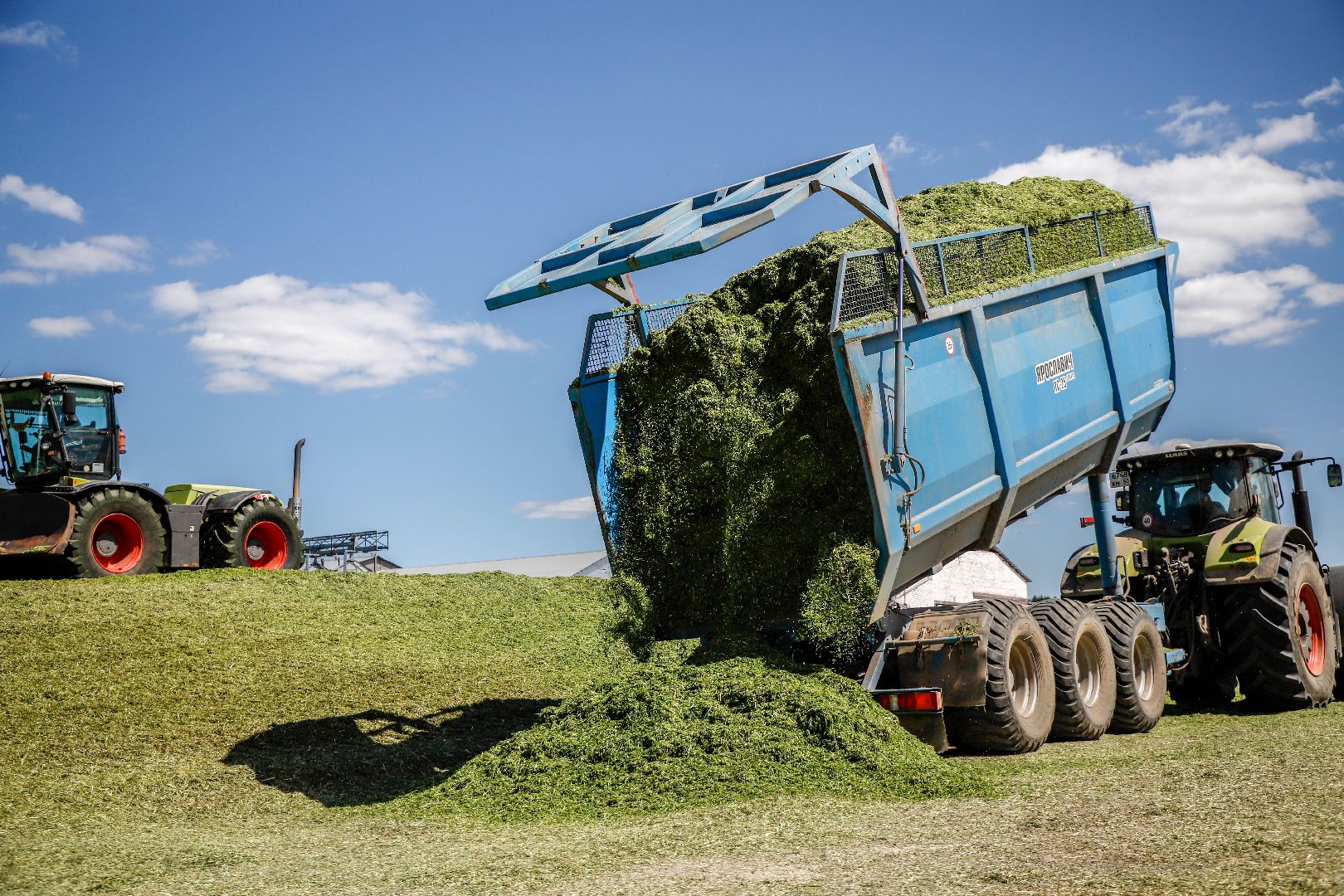Племзавод Повадино, Домодедово