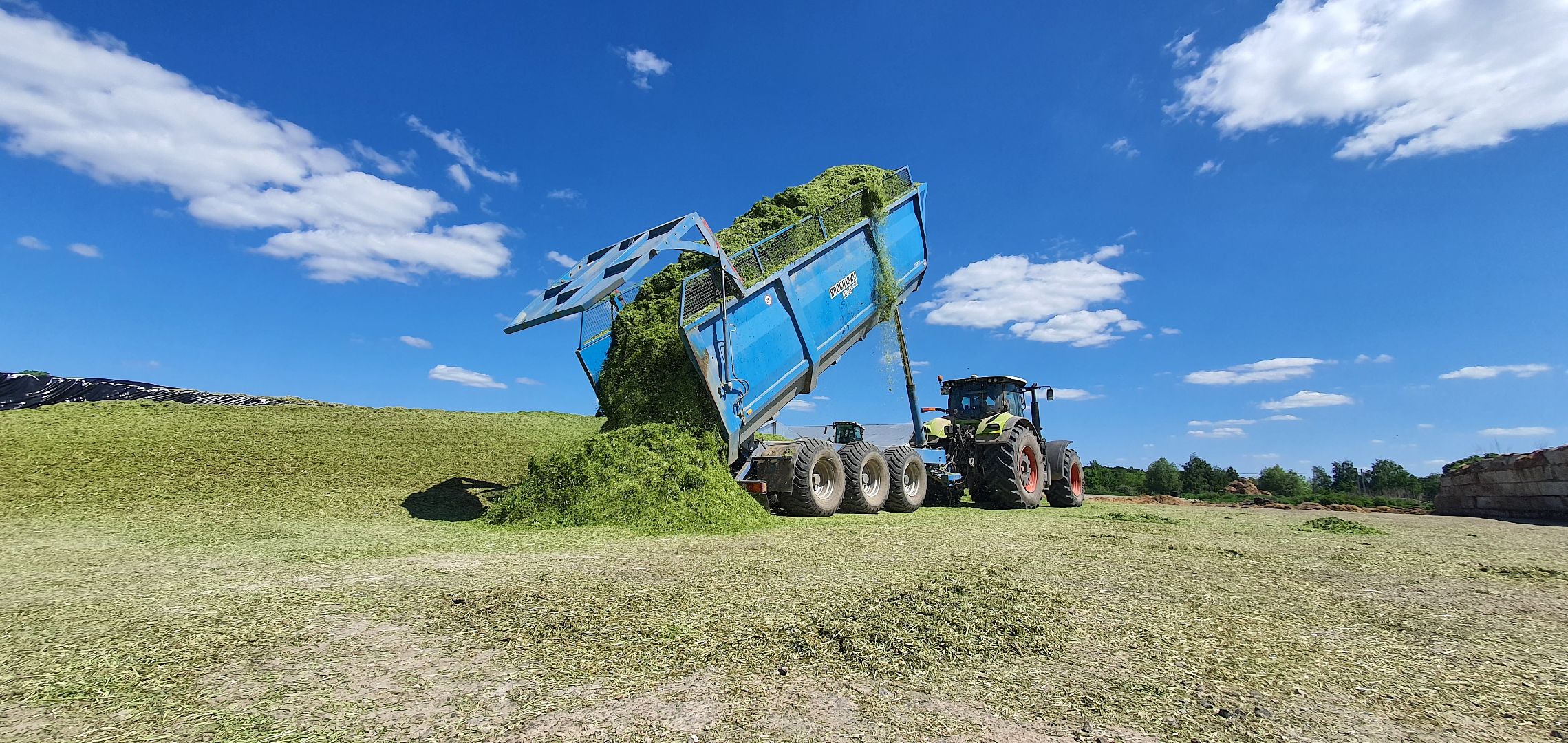 Племзавод Повадино, Домодедово