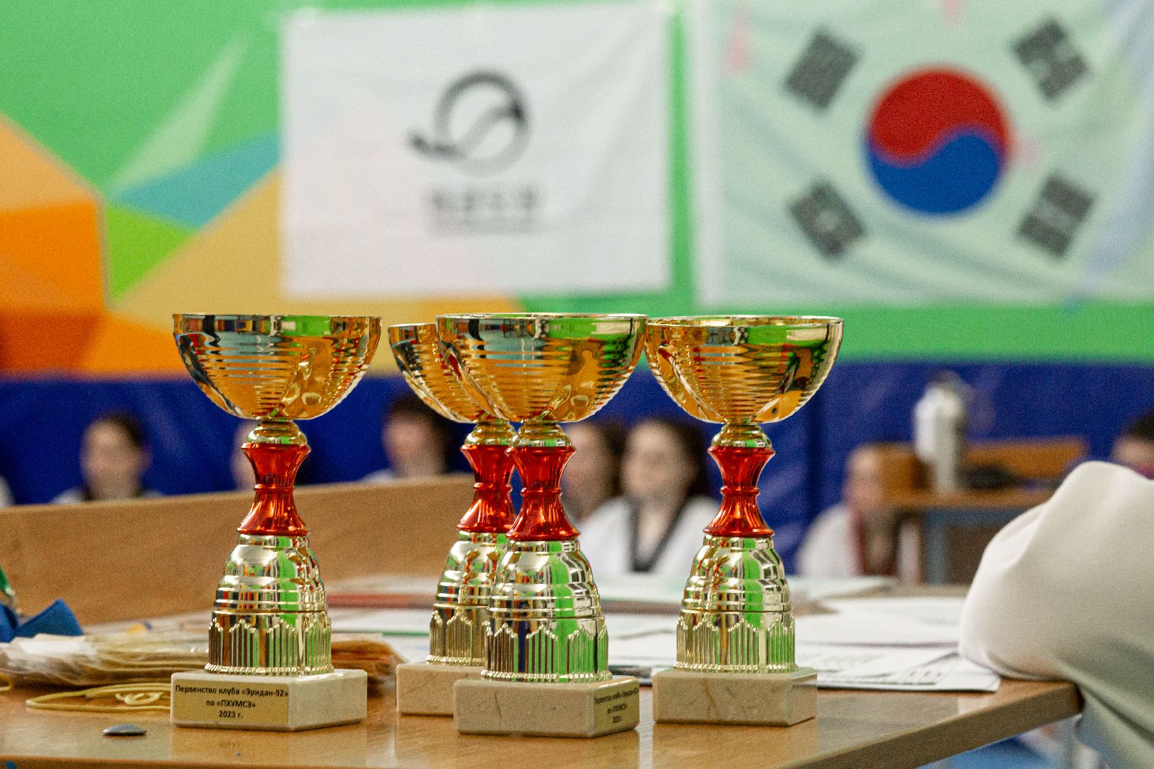 Балашиха, спорт, тхэквондо, тренировки